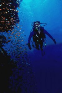 Image taken at Safaga in Egyptian Red Sea. Canon F1 in Ik... by Len Deeley 